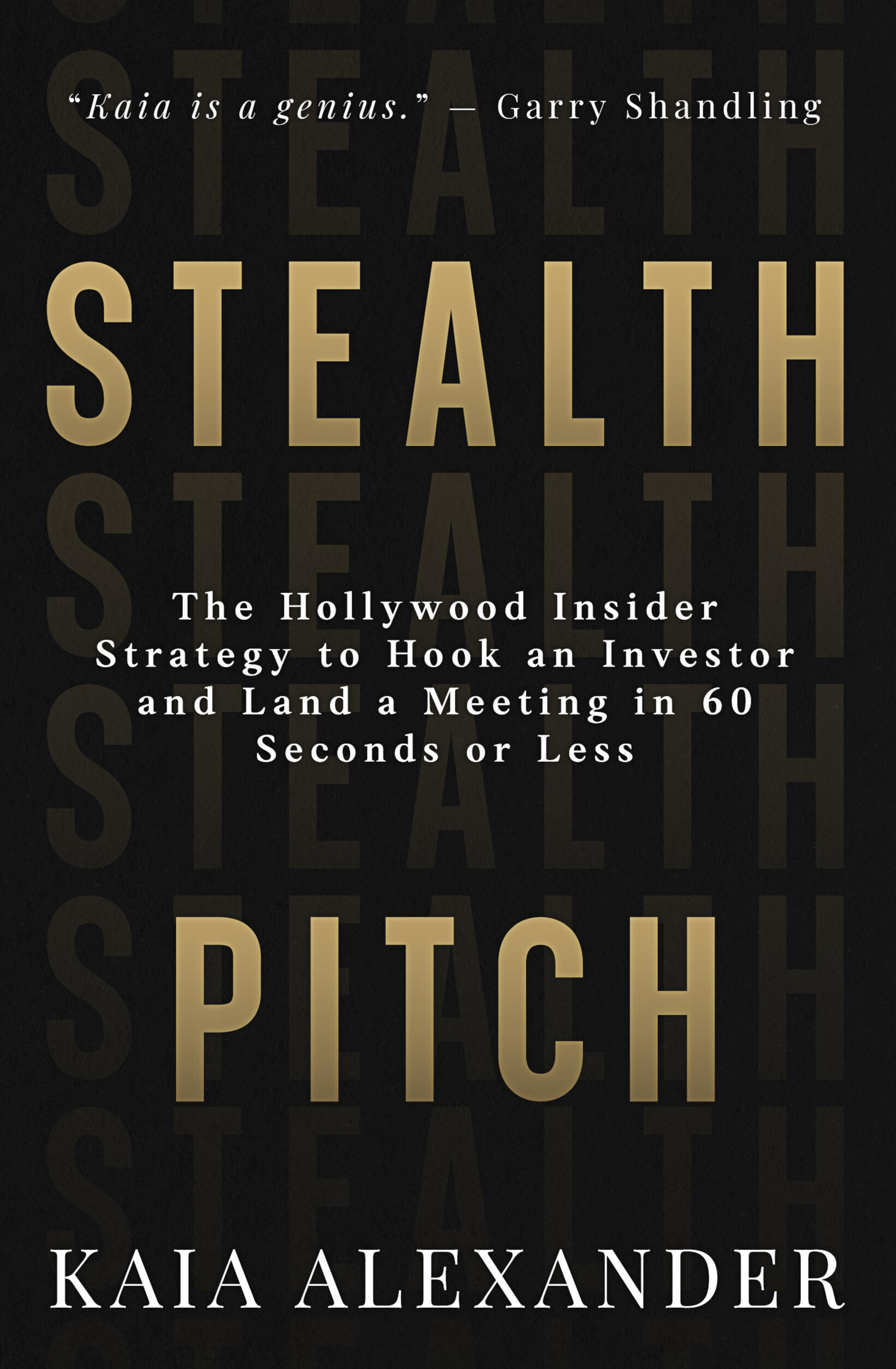 Book cover for Stealth Pitch