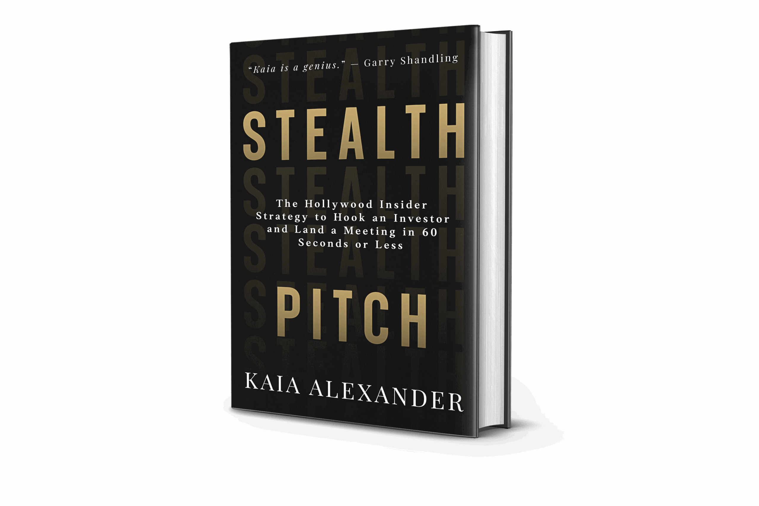Stealth pitch cover 3d PNG